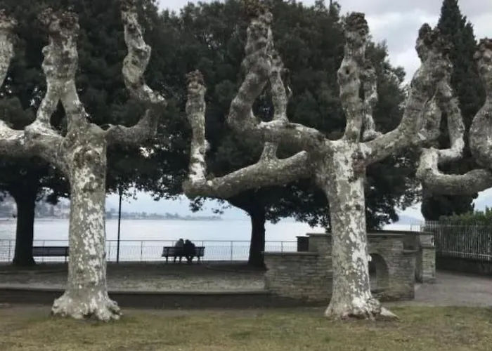 Zwei-zimmer-wohnung Mit Parkplatz In Der Naehe Des Strandes By Interhome Apartman Domaso
